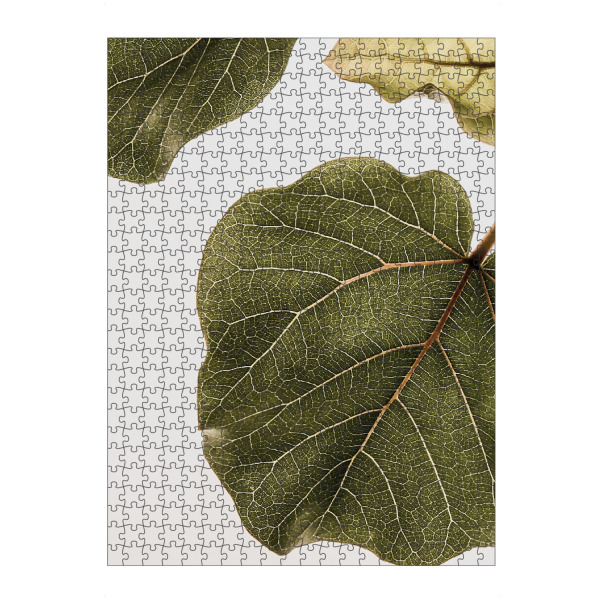 Puzzle Ravensburger "Msinsi" artboxONE - Natur,Floral,Abstrakt - Nature,Floral,Leaf,Botanical,Tropical,Geometry,Natural colors - Bild nature