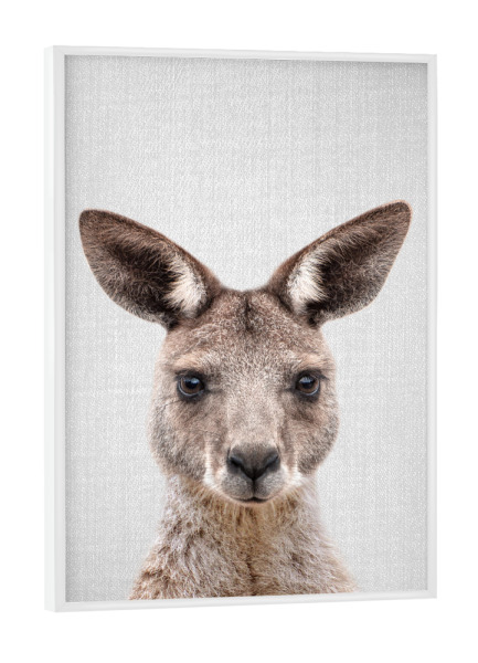 Poster mit weißem Rahmen "Kangaroo - Colorful" artboxONE - Für Kinder,Tiere,Städte / Sydney