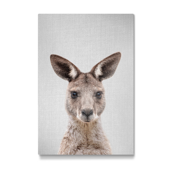 Galerie-Print "Kangaroo - Colorful" 30x20 cm artboxONE