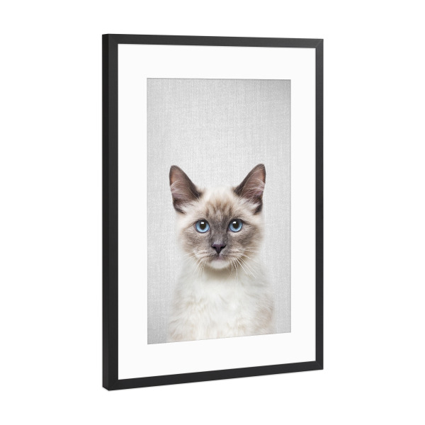 Poster mit Rahmen Schwarz (Metallic) "Cat - Colorful" artboxONE - Tiere