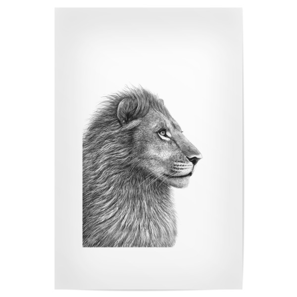 Poster 30x20 cm "The Lion" artboxONE - Tiere - Lion,Cat,King,König