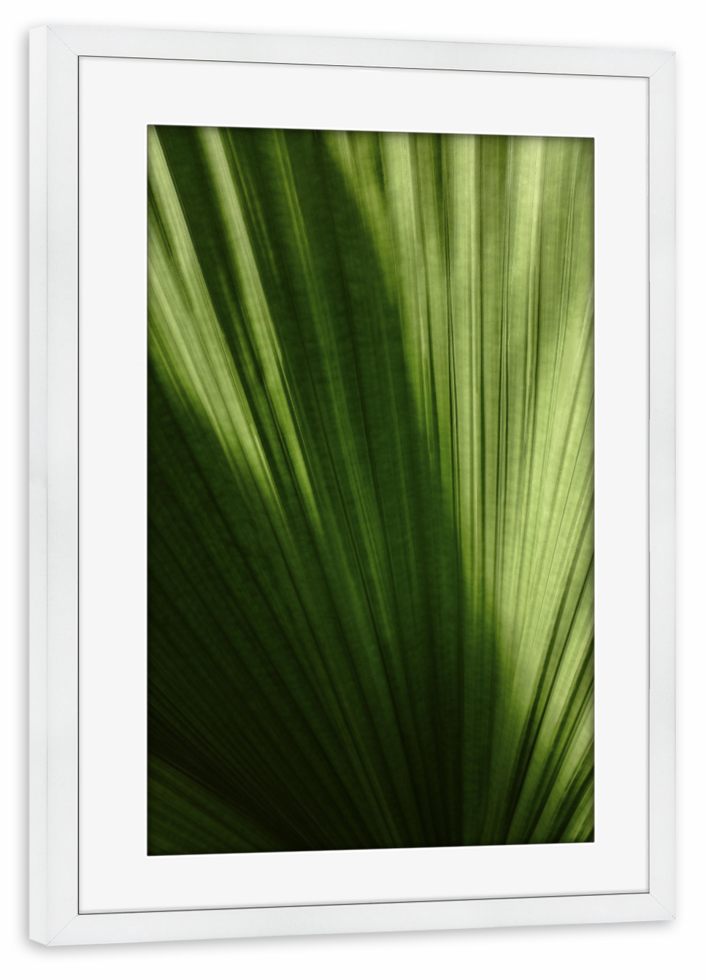 Poster mit Rahmen weiß "Palmenblatt A&K" artboxONE - Natur,Floral