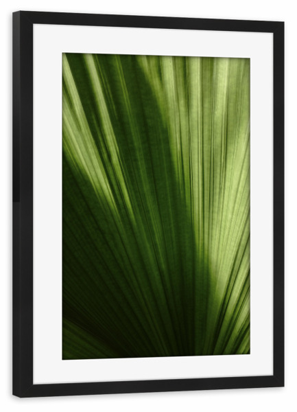 Poster mit Rahmen schwarz "Palmenblatt A&K" artboxONE - Natur,Floral
