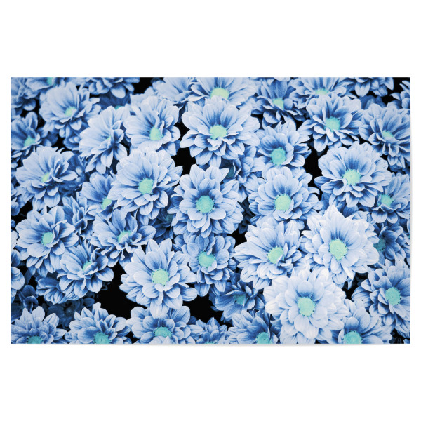 Poster 30x20 cm "Darker" artboxONE - Floral