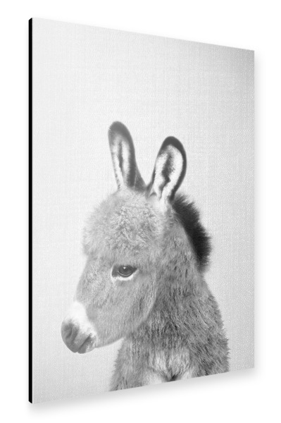 Alu-Dibond "Donkey - Black & White" 30x20 cm artboxONE