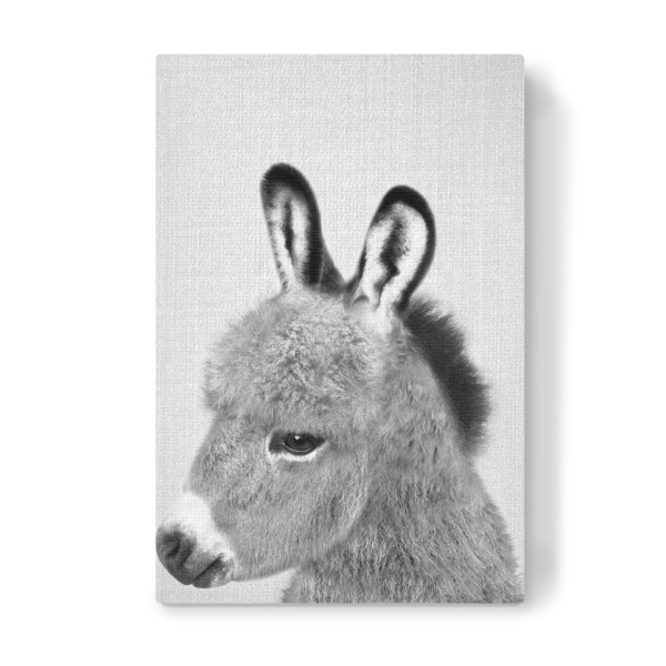 Leinwandbild "Donkey - Black & White" artboxONE - Tiere