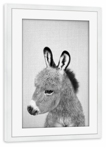 Poster mit Rahmen weiß "Donkey - Black & White" artboxONE - Tiere