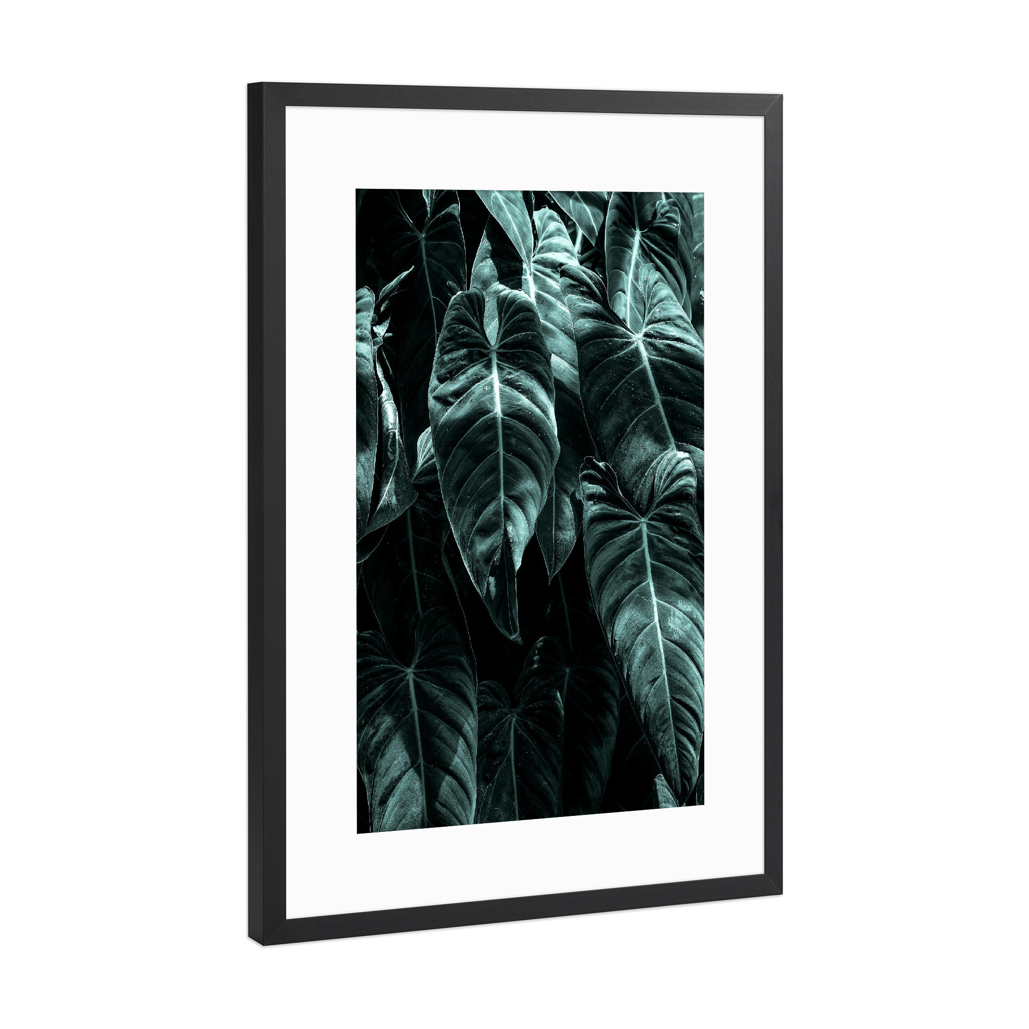 Poster mit Rahmen Schwarz (Metallic) "Beauty Of Silence" artboxONE - Natur,Floral - Blätter,Pflanze,Blatt,Botanik