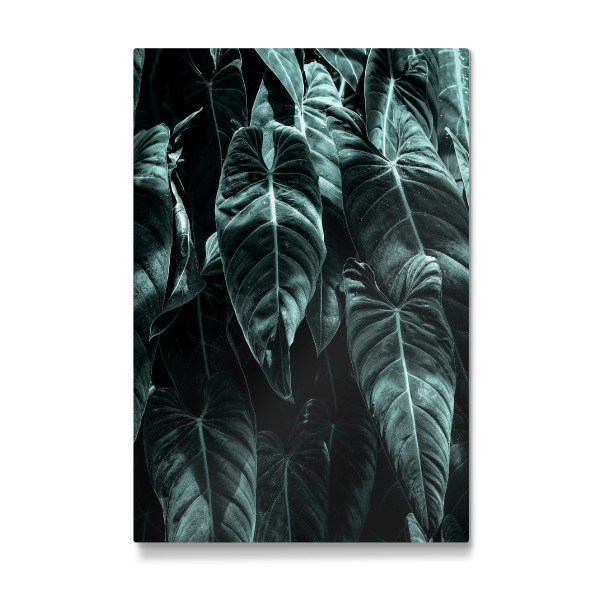 Galerie-Print "Beauty Of Silence" 30x20 cm artboxONE