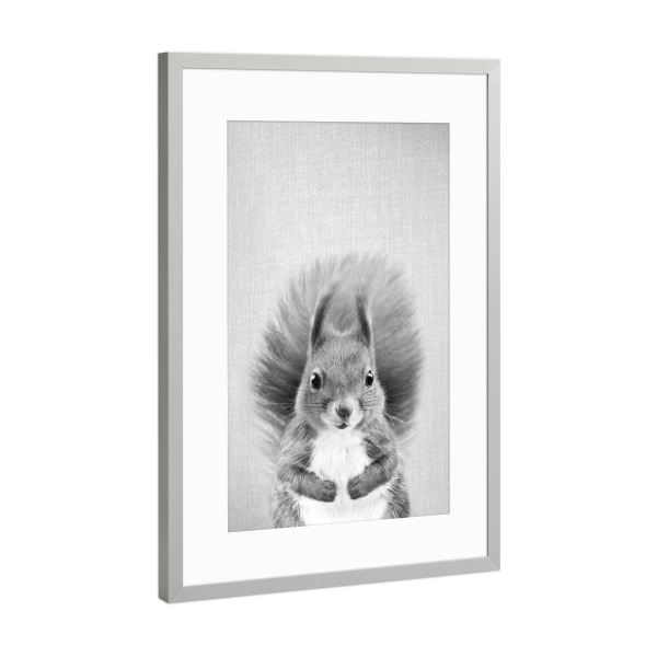 Poster mit Rahmen Silber "Baby Squirrel - Black & White" artboxONE - Tiere,Schwarzweiß