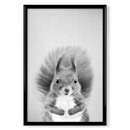 Baby Squirrel - Black & White