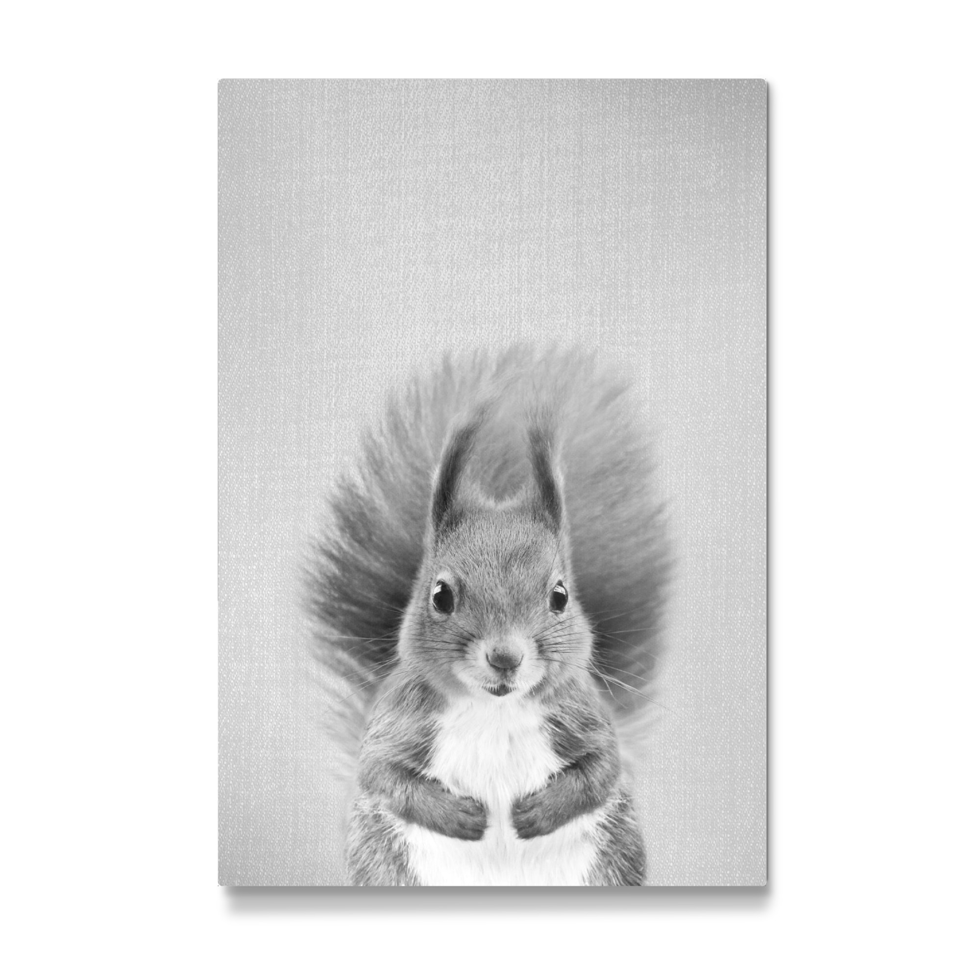 Galerie-Print "Baby Squirrel - Black & White" 30x20 cm artboxONE