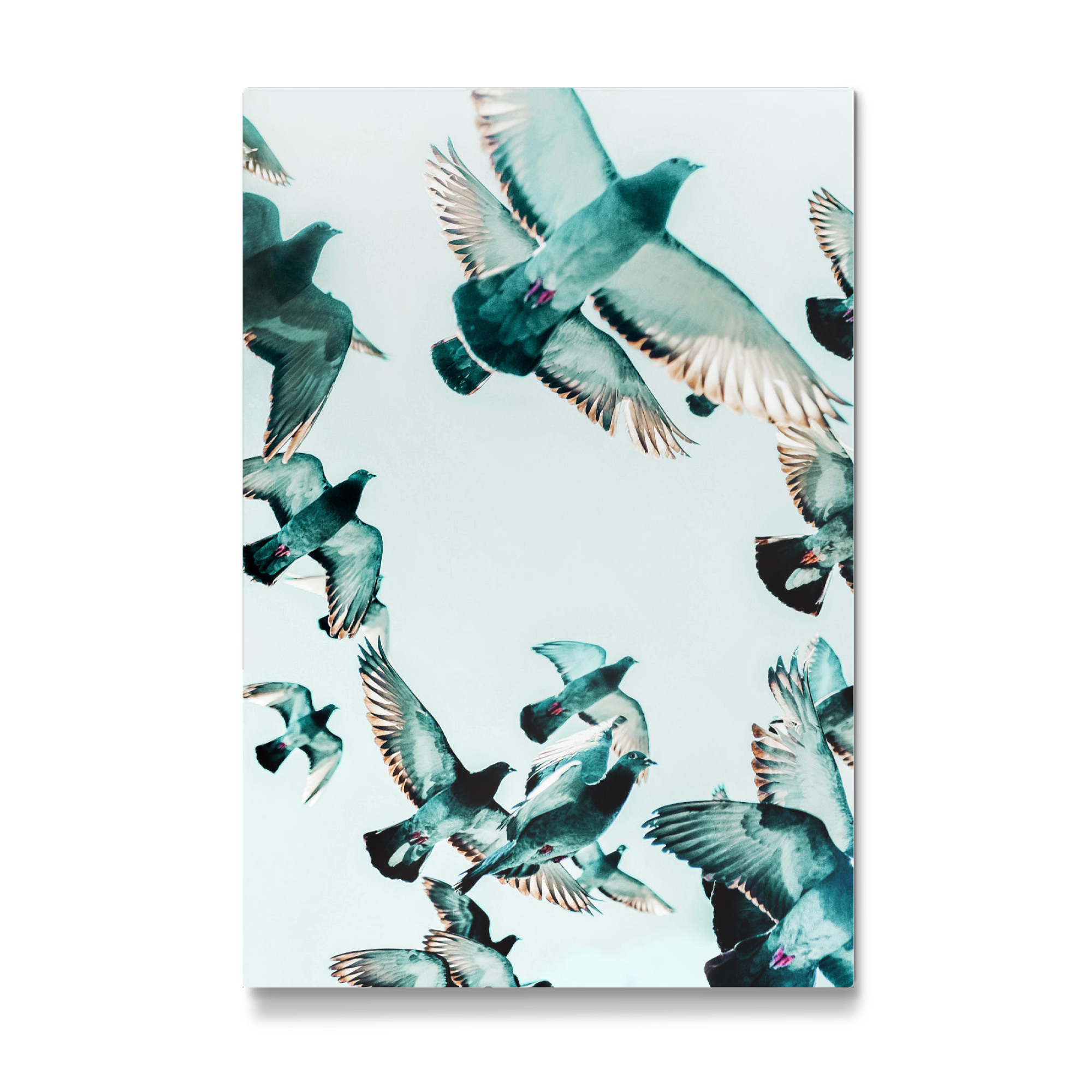 Galerie-Print "Rise Birds" 30x20 cm artboxONE