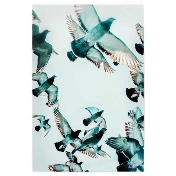 Poster 30x20 cm "Rise Birds" artboxONE - Tiere