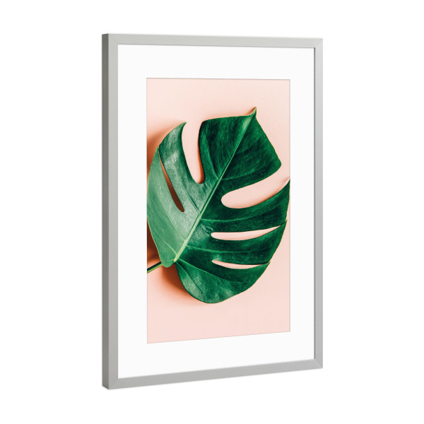 Poster mit Rahmen Silber "Monstera Shadow" artboxONE - Abstrakt