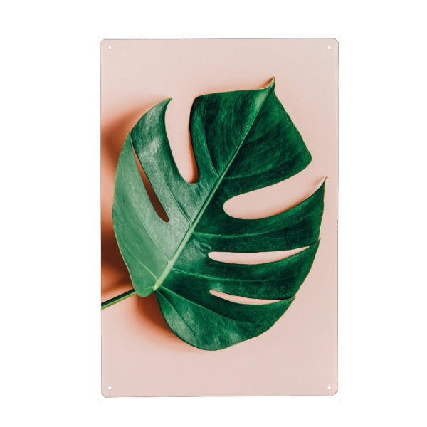 Holzbild "Monstera Shadow" artboxONE - Abstrakt - Color,Digital manipulation,Monstera,Tropical,Leaves,Nature,Leaf,Beautiful,Exotic,Stem,Botanical