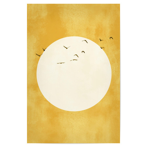 Sun In The Sky