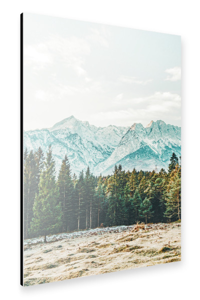 Alu-Dibond "Winter Weather" 30x20 cm artboxONE
