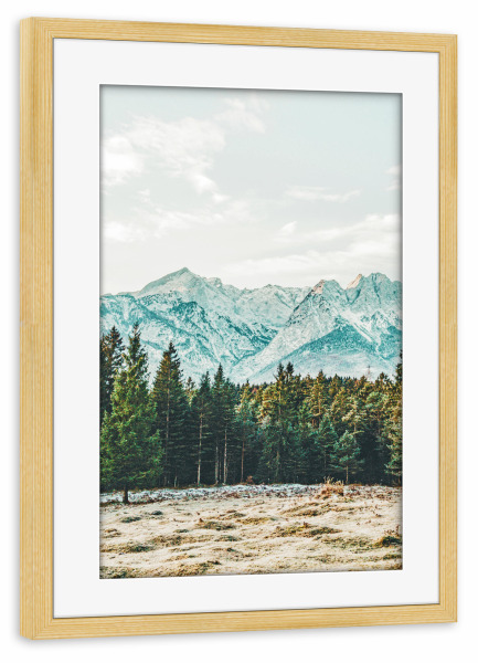 Poster mit Rahmen kiefer "Winter Weather" artboxONE - Natur