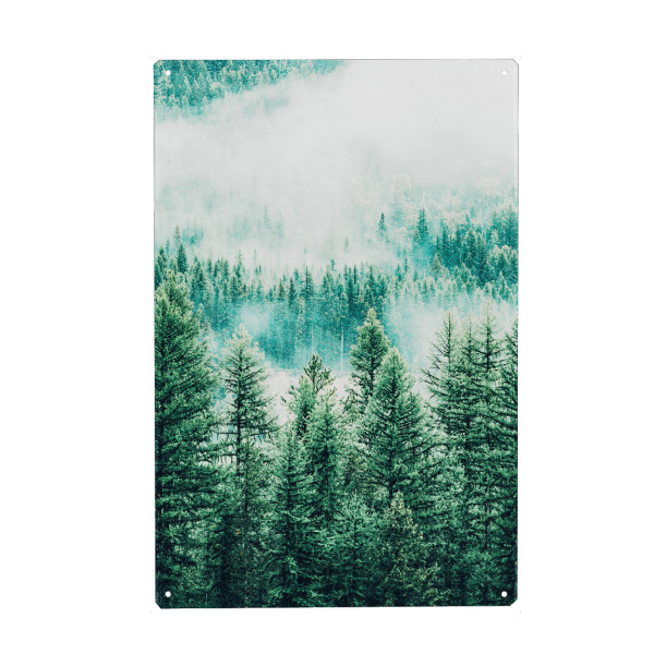 Metall Poster "Forest and Fog" artboxONE - Natur