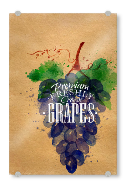 Acrylglasbild "Watercolor grapes craft" artboxONE - Typografie,Essen & Trinken,Essen & Trinken / Obst & Gemüse