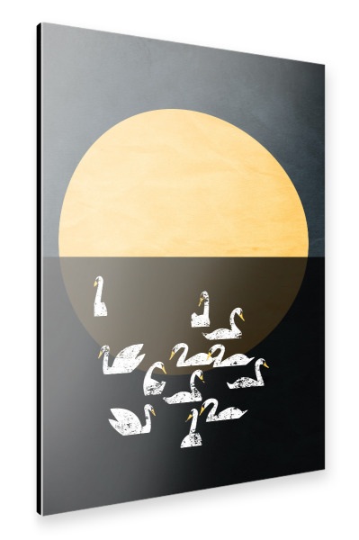Alu-Dibond "Sleeping Swans" 30x20 cm artboxONE