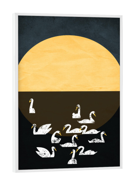Poster mit weißem Rahmen "Sleeping Swans" artboxONE - Tiere - See,Nacht,Schwäne,Sonnenuntergang,Abstrakt