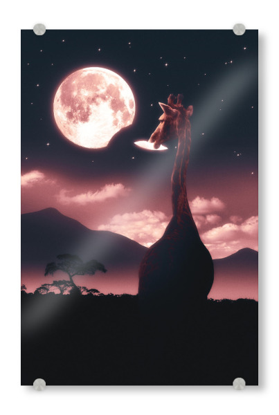 Acrylglasbild "TASTY MOON" artboxONE - Tiere,Reise / Afrika,Fiktion,Lustig