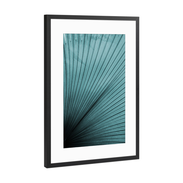Poster mit Rahmen Schwarz (Metallic) "Palmenblatt Türkis" artboxONE - Floral - Blatt,Palme,Natur,Wild,Wildniss,Jungel,Palmenblatt,Strand,Ostern,Türkis