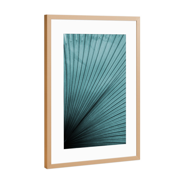 Poster mit Rahmen Kupfer "Palmenblatt Türkis" artboxONE - Floral - Blatt,Palme,Natur,Wild,Wildniss,Jungel,Palmenblatt,Strand,Ostern,Türkis