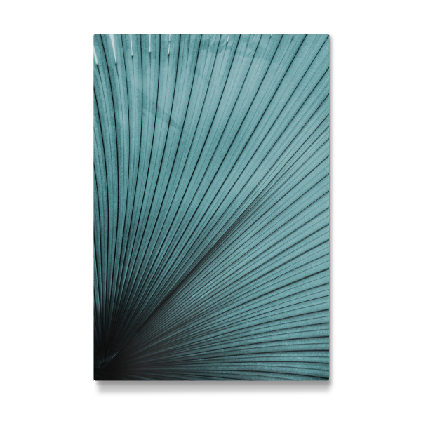 Galerie-Print "Palmenblatt Türkis" 30x20 cm artboxONE