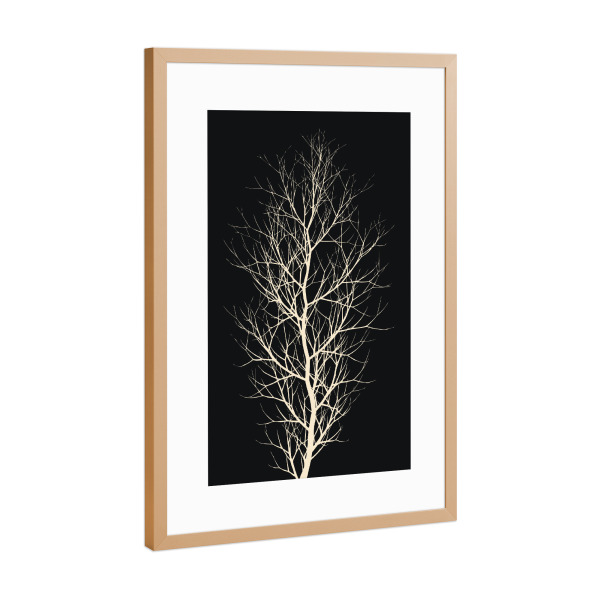 Poster mit Rahmen Kupfer "Black Forrest At Night" artboxONE - Natur,Schwarzweiß - Baum,Wald,Silhouette,Abstrakt