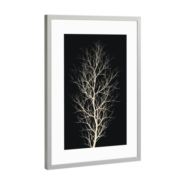 Poster mit Rahmen Silber "Black Forrest At Night" artboxONE - Natur,Schwarzweiß - Baum,Wald,Silhouette,Abstrakt