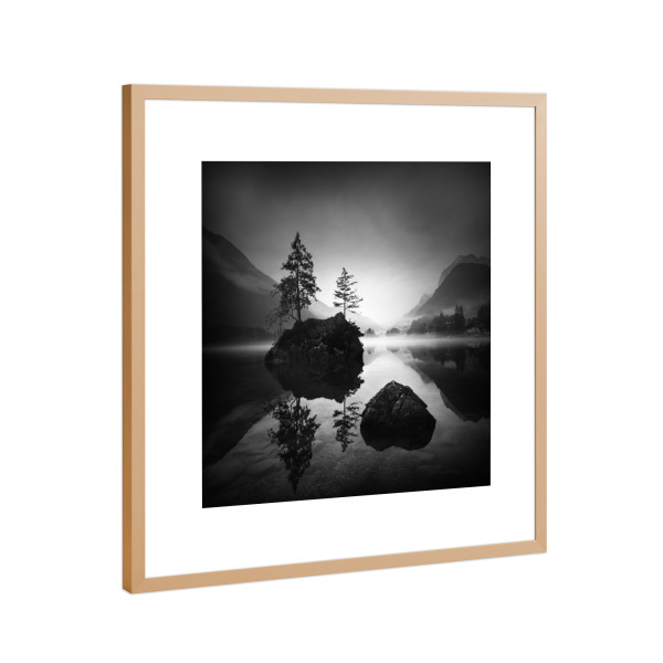 Poster mit Rahmen Kupfer "Hintersee Bauminsel" artboxONE - Städte,Natur,Schwarzweiß