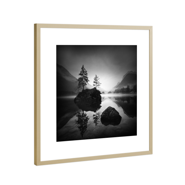 Poster mit Rahmen Gold "Hintersee Bauminsel" artboxONE - Städte,Natur,Schwarzweiß