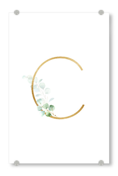 Acrylglasbild "Eucalyptus Alphabet - C" artboxONE - Buchstaben / C - Eucalyptus-alphabet,Buchstabe-c,Abc,C,Buchstabe,Eukalyptus,Alphabet