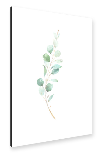 Alu-Dibond "Eucalyptus No.4 Watercolor" 30x20 cm artboxONE