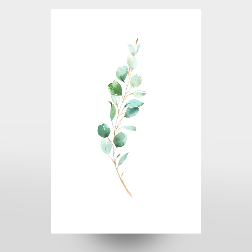 Eucalyptus No.4 Watercolor