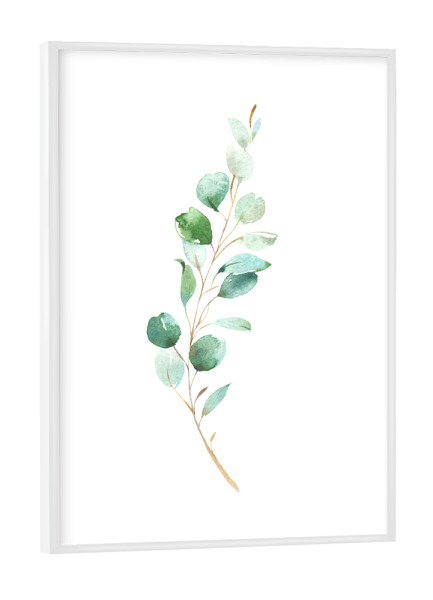 Poster mit weißem Rahmen "Eucalyptus No.4 Watercolor" artboxONE - Floral - Eukalyptus,Zweig,Pflanze,Wasserfarbe,Aquarel