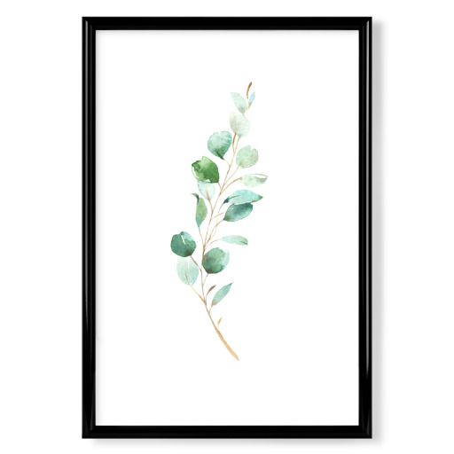 Eucalyptus No.4 Watercolor