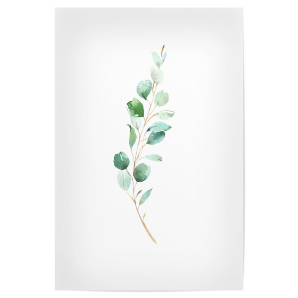 Poster 30x20 cm "Eucalyptus No.4 Watercolor" artboxONE - Floral - Eukalyptus,Zweig,Pflanze,Wasserfarbe,Aquarel