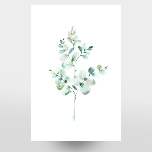 Eucalyptus No.3 Watercolor