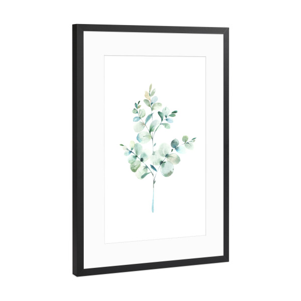 Poster mit Rahmen Schwarz (Metallic) "Eucalyptus No.3 Watercolor" artboxONE - Floral - Eukalyptus,Zweig,Pflanze,Wasserfarbe,Aquarel