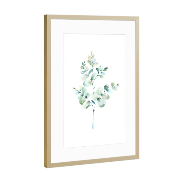 Poster mit Rahmen Gold "Eucalyptus No.3 Watercolor" artboxONE - Floral - Eukalyptus,Zweig,Pflanze,Wasserfarbe,Aquarel