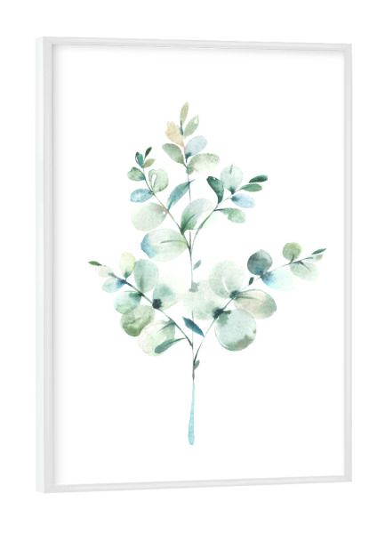 Poster mit weißem Rahmen "Eucalyptus No.3 Watercolor" artboxONE - Floral - Eukalyptus,Zweig,Pflanze,Wasserfarbe,Aquarel