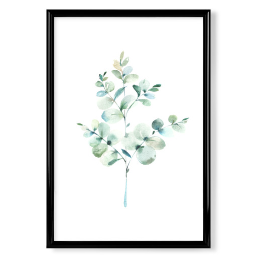 Eucalyptus No.3 Watercolor