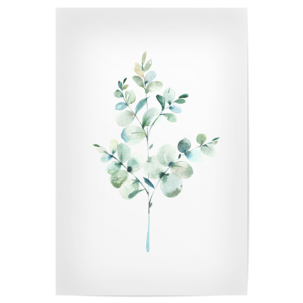 Poster "Eucalyptus No.3 Watercolor" artboxONE - Floral - Eukalyptus,Zweig,Pflanze,Wasserfarbe,Aquarel