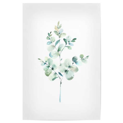 Eucalyptus No.3 Watercolor