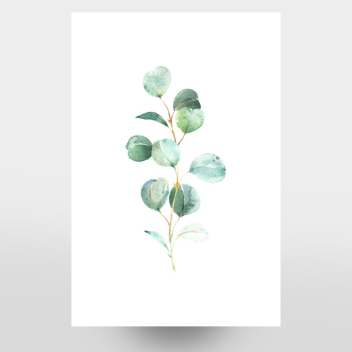 Eucalyptus No.2 Watercolor