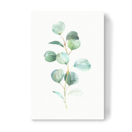 Eucalyptus No.2 Watercolor